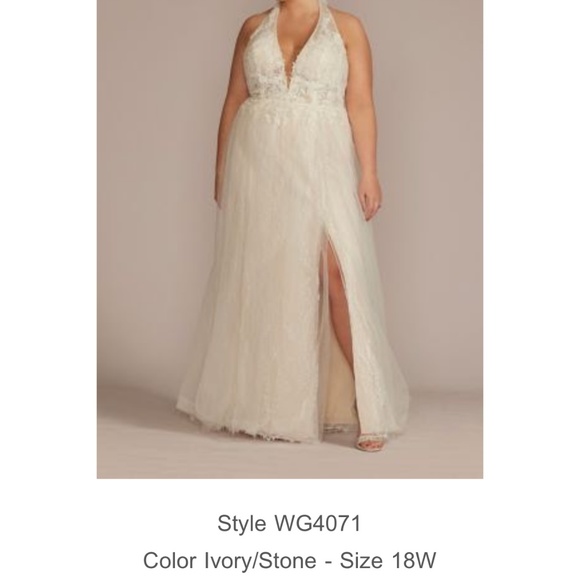 NEW & NEVER WORN David’s Bridal Wedding Dress Style WG4071, Ivory/Stone, Size 18 - Picture 3 of 10